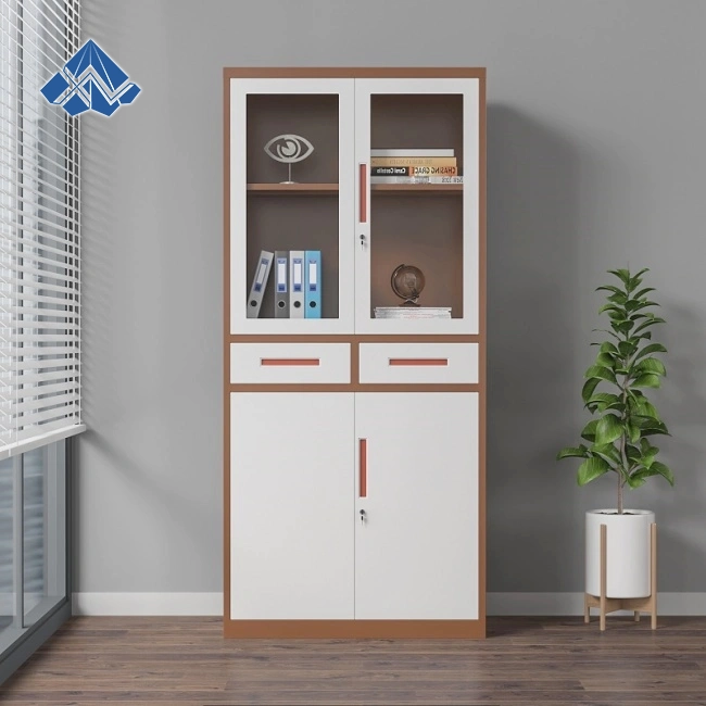 Glass Door Filling Cabinet with Two Middle Drawers
